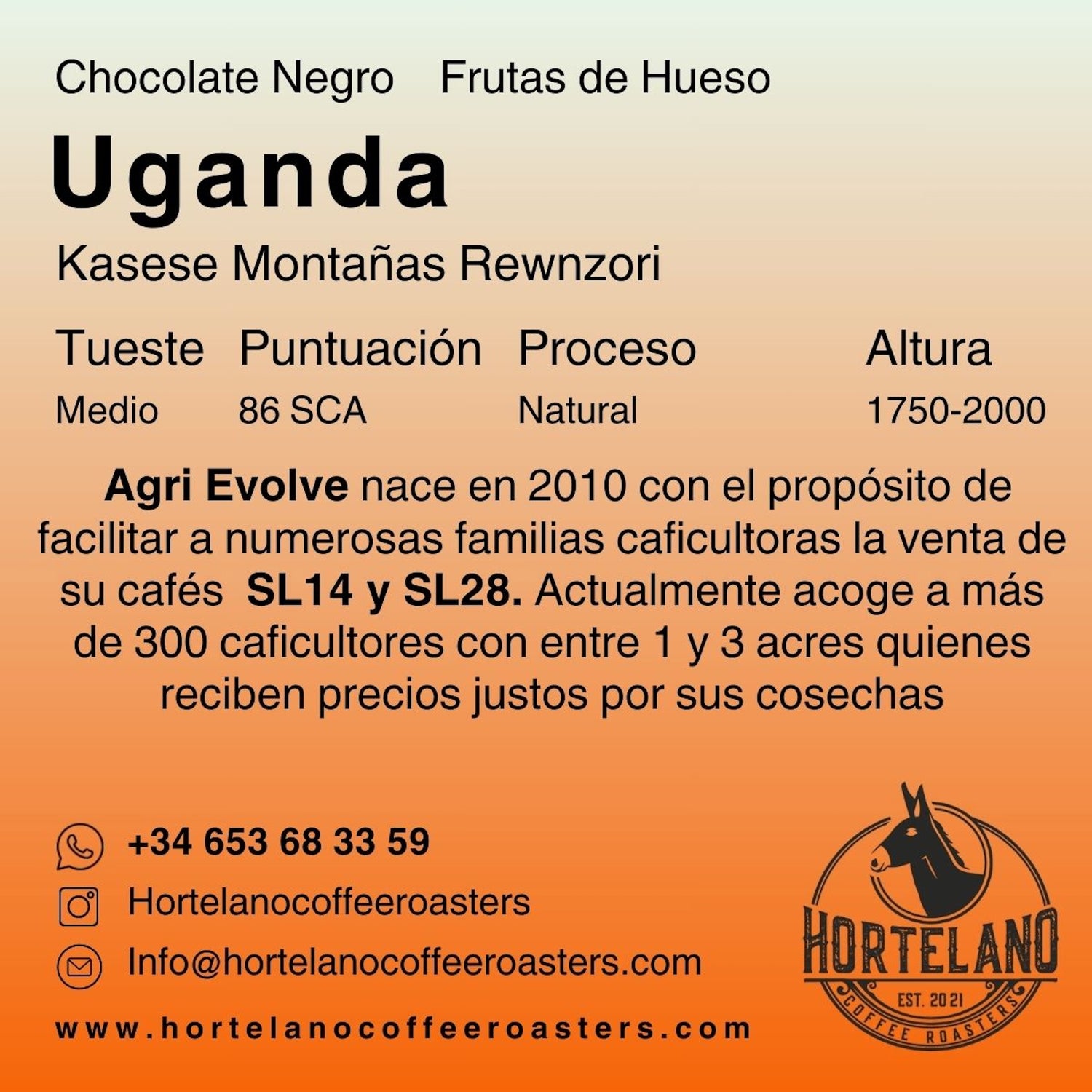 Café de Uganda – Bukonzo Dream, Rwenzori | Hortelano Coffee