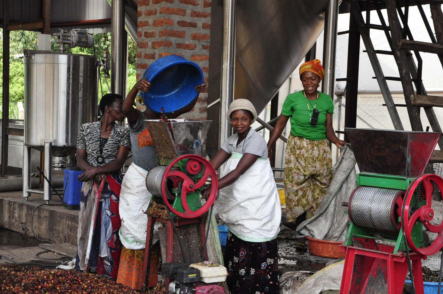 Mujeres etíopes trabajando con café