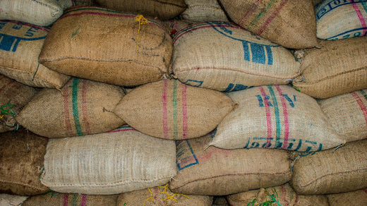 El Valor del Café de Especialidad: Aroma, Fragancia y Calidad en Cada Taza