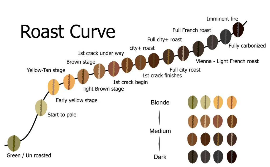El tueste del café y sus puntos clave