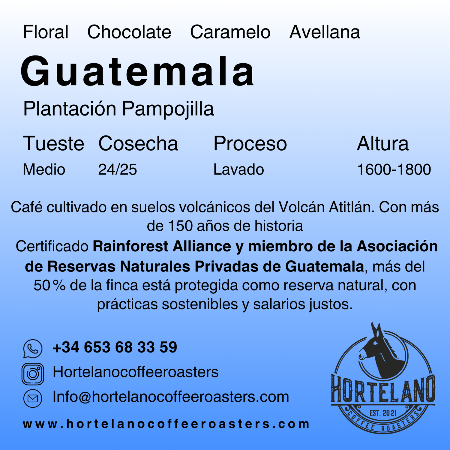 Guatemala SHB EP Plantación Pampojilá – Café de Especialidad del Lago Atitlán