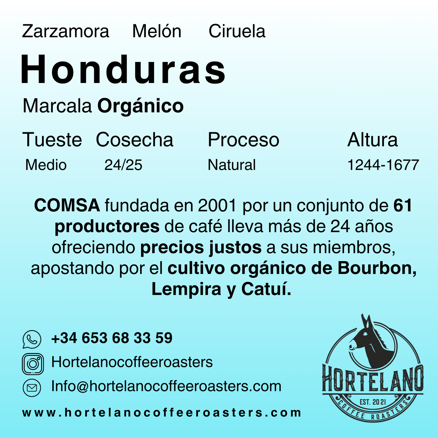 Honduras Copán Orgánico– Café de Especialidad de cooperativa | Hortelano Coffee
