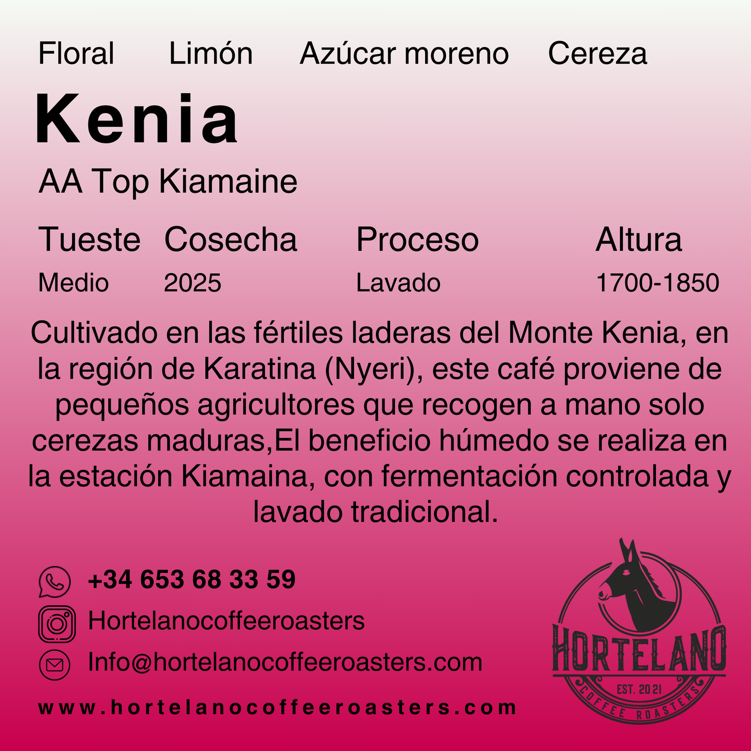 Kenia AA Top Kiamaina – Café de Especialidad de Nyeri | Hortelano Coffee