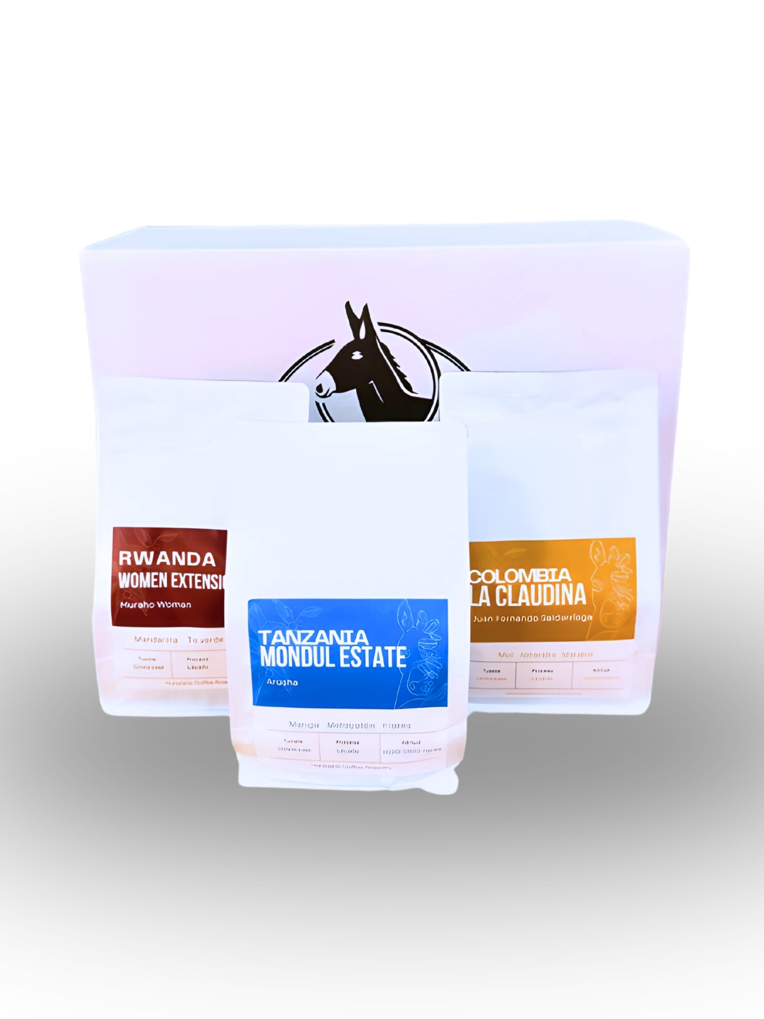 Pack Explorador