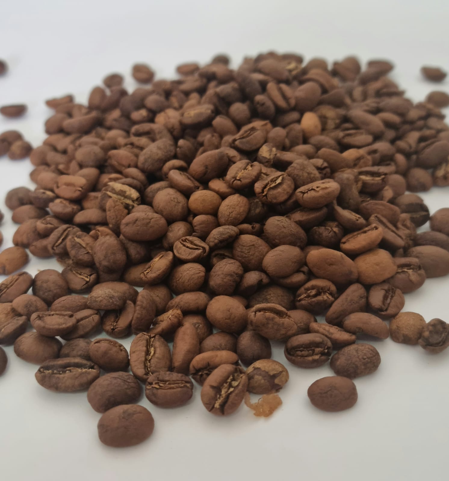 Café de especialidad de Perú – Arábica lavado, 83.75 SCA